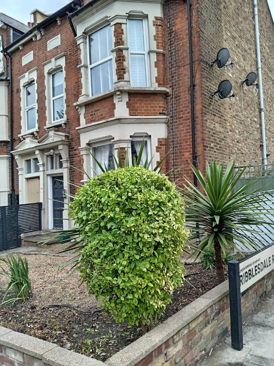 Tidy front garden after H&O — shaped shrubs and trimmed plants