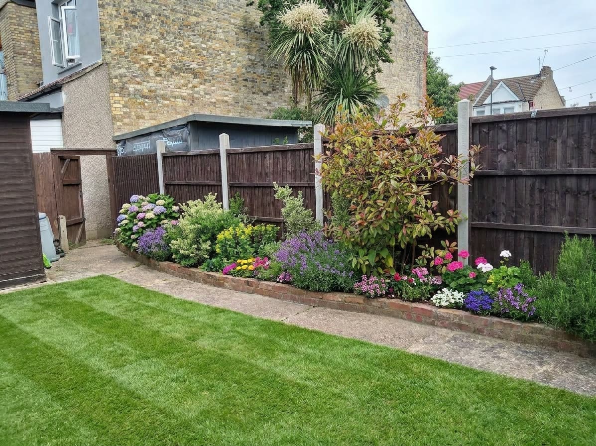 The same back garden reimagined by H&O — neat lawn and tidy, shaped borders