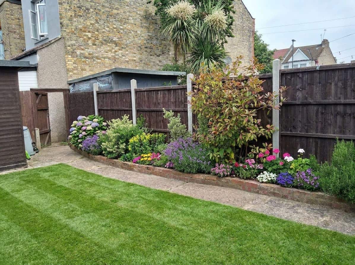 The same back garden after H&O — a crisp striped lawn and a freshly planted border full of hydrangeas, salvia and colour