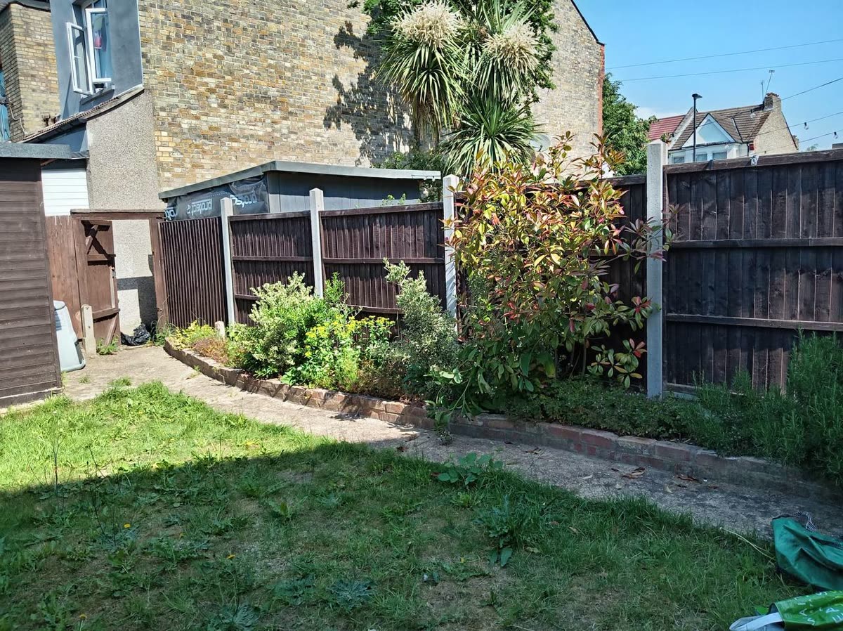 Overgrown back garden before — patchy lawn and tangled borders
