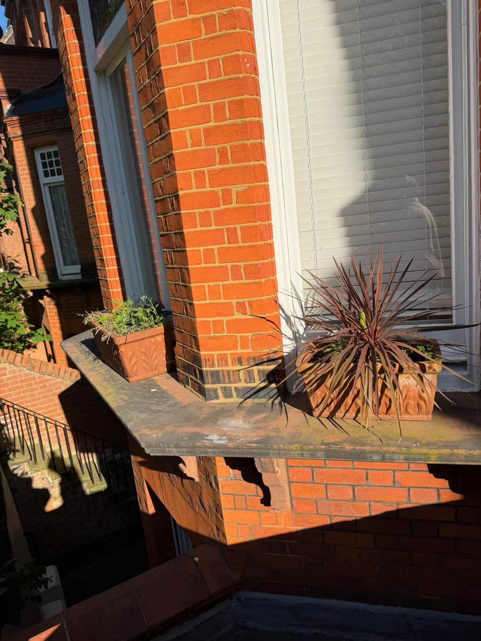 Tired bay-window planters before — sparse, leggy plants