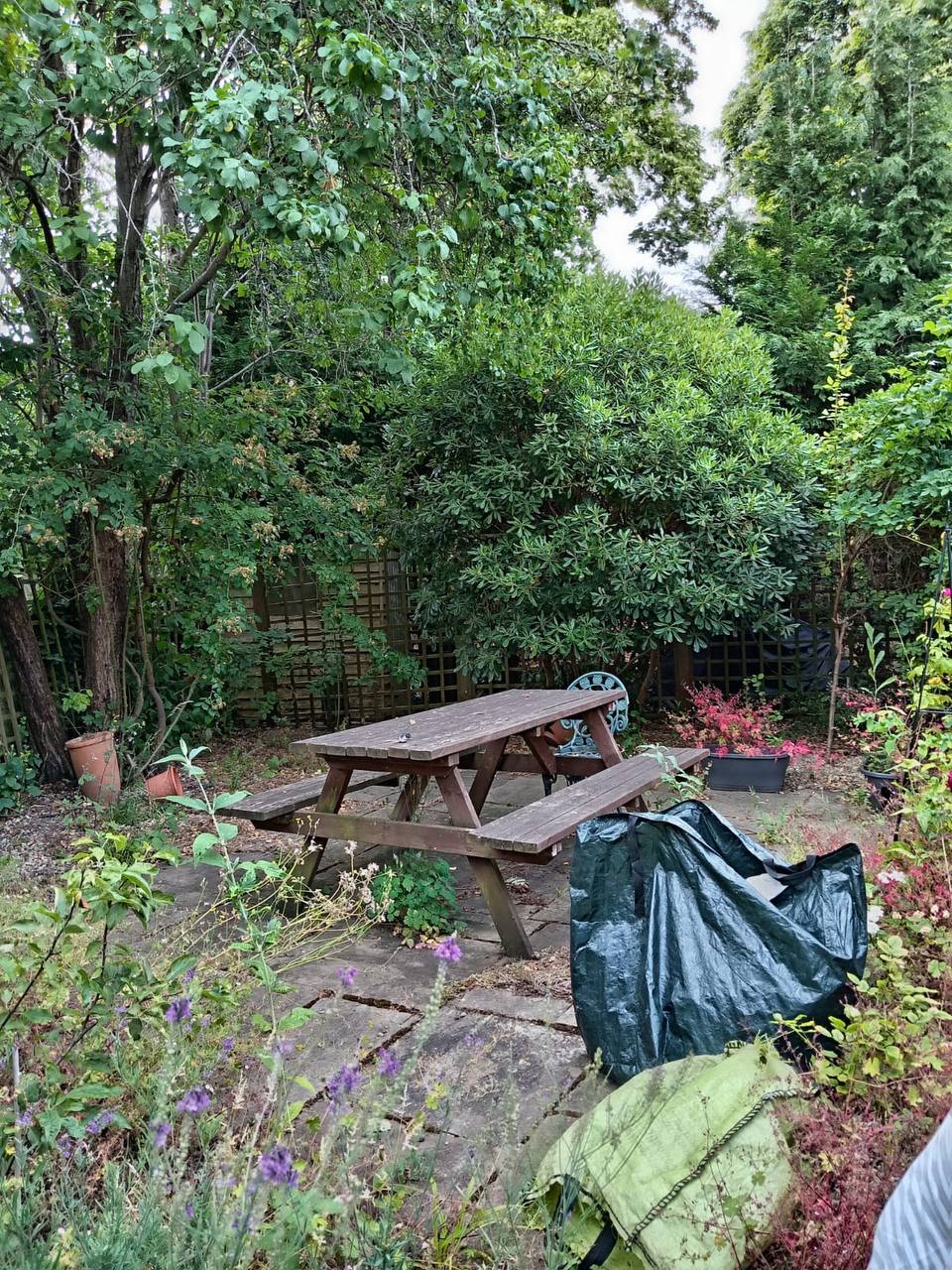 Overgrown back garden before H&O transformation