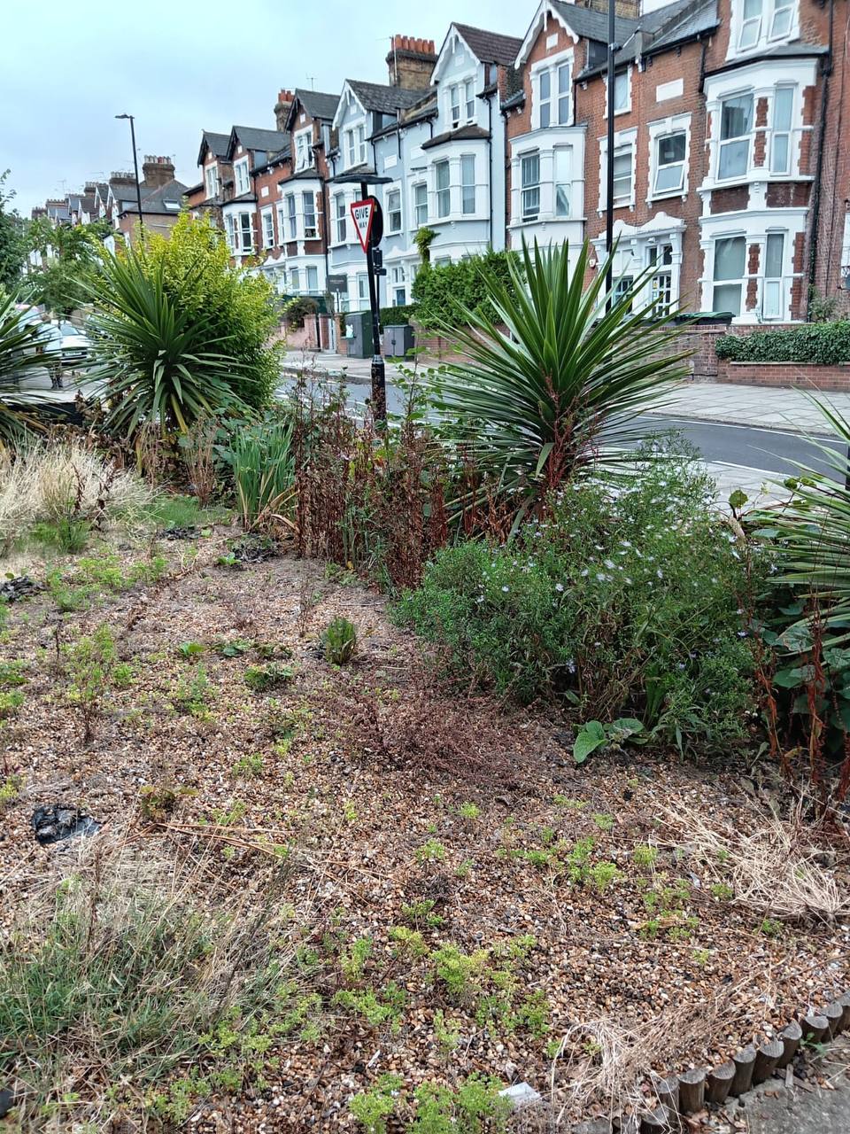 Overgrown front garden before H&O